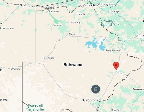 shelves-with-medicines-pharmacy